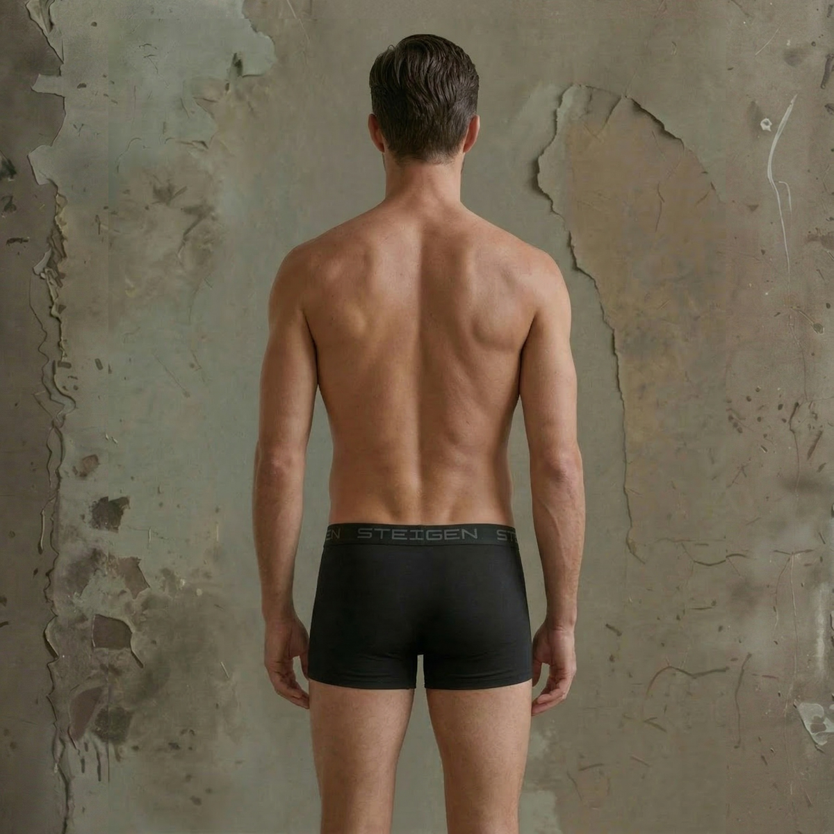 Steigen 4” Men’s Underwear